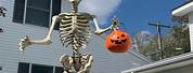 Large Outdoor Skeleton Halloween Decoration