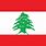 Lebanese Flag