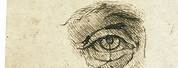 Leonardo Da Vinci Eye Drawing