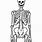 Life Size Skeleton Print Out