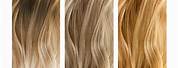 Light Brown Blonde Hair Color Chart