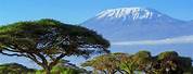 LinkedIn Background Images Kilimanjaro National Park