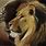 Lion Judah Art