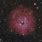 Little Rosette Nebula