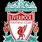 Liverpool Badge Drawing