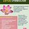 Lotus Flower Facts