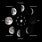 Lunar Cycle Moon Phases