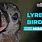 Lyrebird Voice