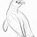 Magellanic Penguin Drawing