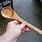 Making Wooden Spoons