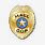 Mall Cop Badge