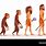 Man Evolution Cartoon