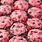 Maraschino Cherry Cookies
