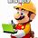 Mario 3DS Memes