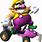 Mario Kart DS Wario