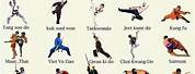 Martial Arts Chart Clip Art Styles