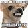 Mean Chihuahua Meme
