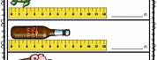 Measurement Length Activities