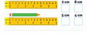 Measuring Inches and Centimeters Worksheet