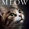 Meow Book for Cats
