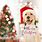 Merry Christmas Puppy Images