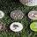 Metal Golf Ball Markers