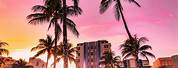 Miami Beach Summer