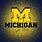 Michigan Wolverines Pictures