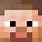 Minecraft Steve Head Skin