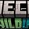 Minecraft Wild Update Logo