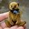 Miniature Teddy Bears