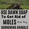 Mole Removal From Yard