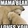 Momma Bear Meme
