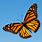 Monarch Butterfly Wallpaper Free
