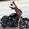 Motorcycle Rifle Scabbard