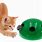 Moving Cat Toys
