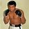 Muhammad Ali Pictures