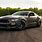 Mustang GT Grey