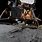 NASA Lunar Lander