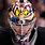 NHL Hockey Goalie Masks