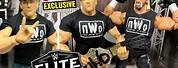 NWO John Cena WWE Elite Ringside Exclusive