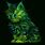 Neon Green Cat