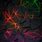 Neon Wallpaper iPhone X Outline