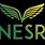 Nesr Logo