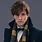 Newt Scamander Outfit