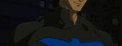 Nightwing DC Animated