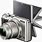 Nikon Camera with Flip Screen