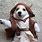 Obi-Wan Kenobi Dog Costume