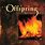 Offspring CD