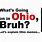Ohio Meme Origin